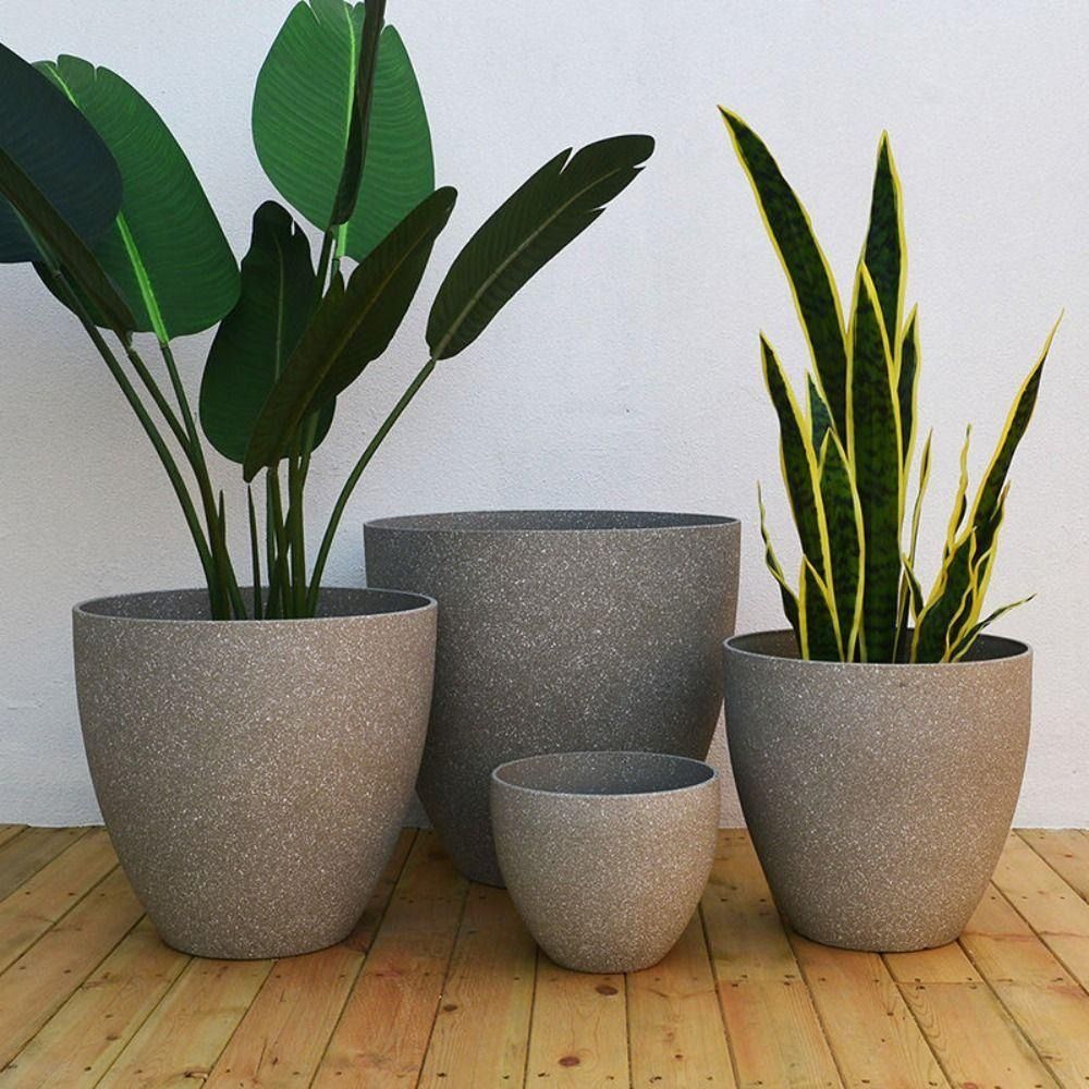 서리로 덥은 모조 돌 분재 화분 발코니 식물 냄비 홈  - Aloe Vera Pot 리뷰 및 가격