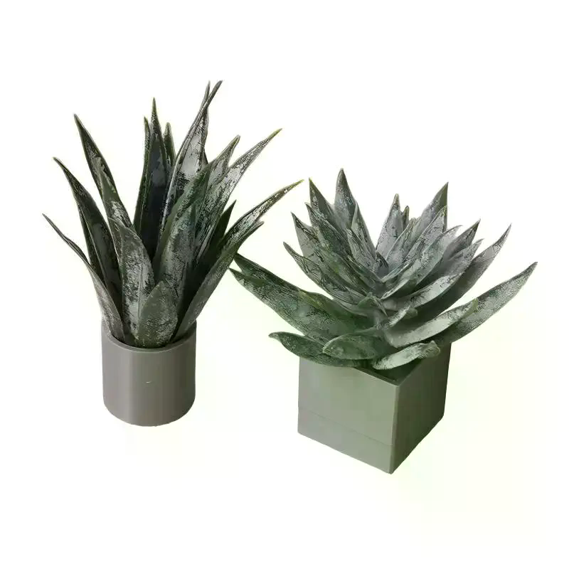 미니어처 알로에 베라 화분 장식품 인형의 집 식물 화분 - Aloe Vera Pot 리뷰 및 가격