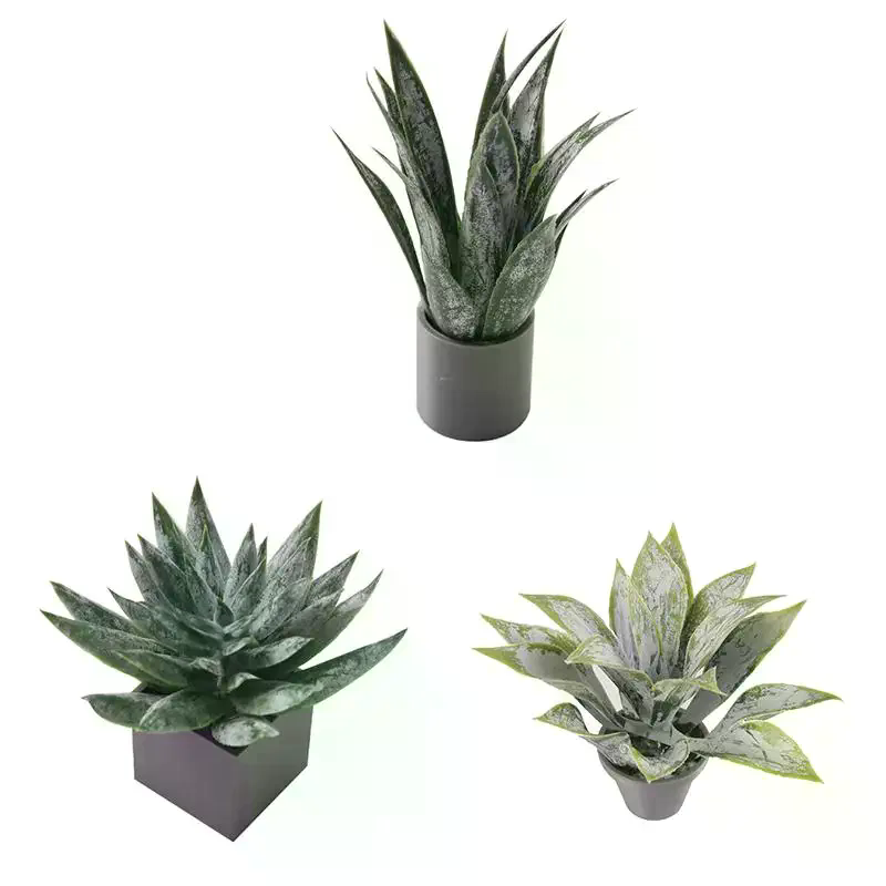 미니어처 알로에 베라 화분 장식품 인형의 집 식물 화분 - Aloe Vera Pot 리뷰 및 가격