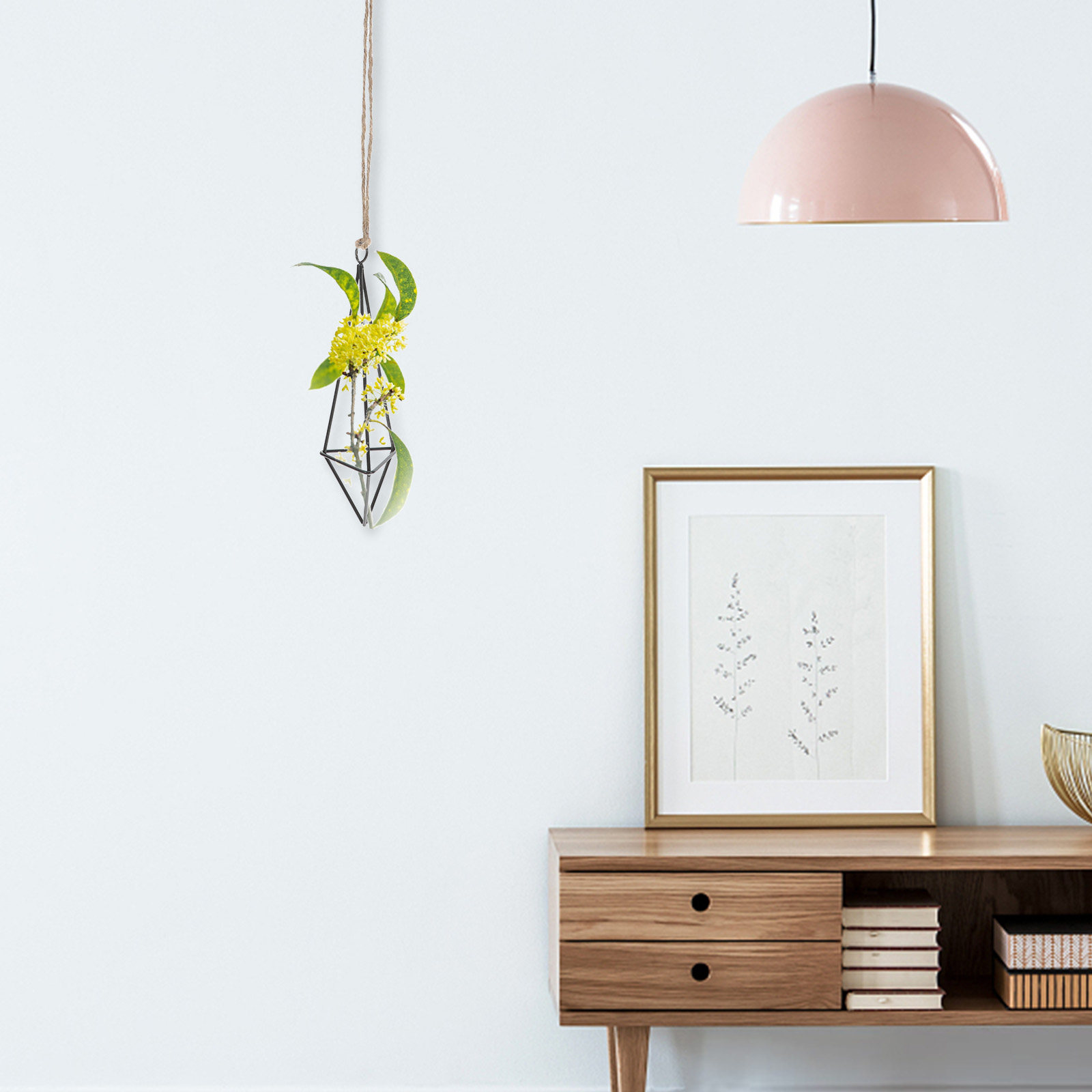 메탈 에어 플랜트 홀더, 기하학적 디자인의 철제 화분  - Spider Plant Hanging 리뷰 및 가격