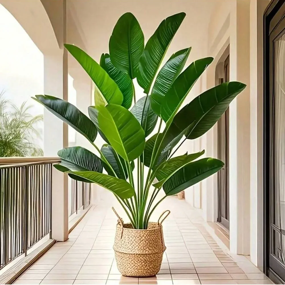 1개 18잎 인조 식물 대형 열대 야자수 가짜 바나나  - Ficus Lyrata Tree 리뷰 및 가격