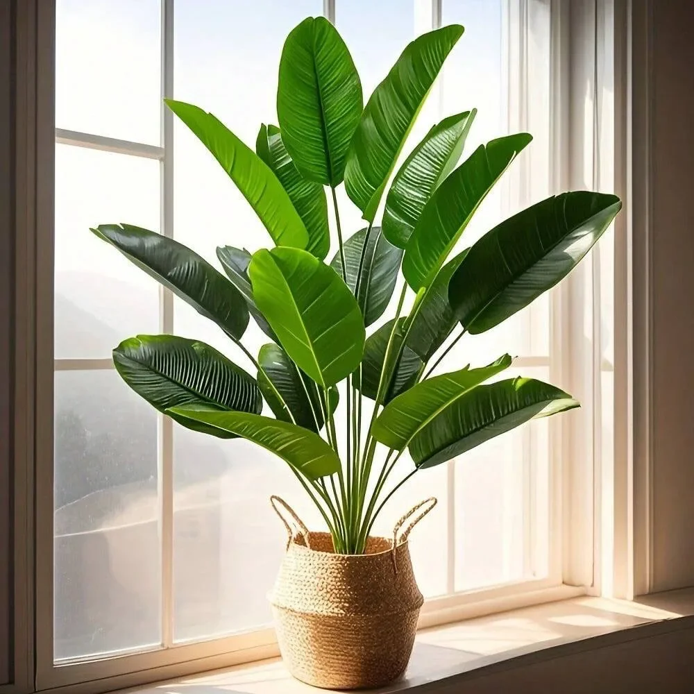 1개 18잎 인조 식물 대형 열대 야자수 가짜 바나나  - Ficus Lyrata Tree 리뷰 및 가격